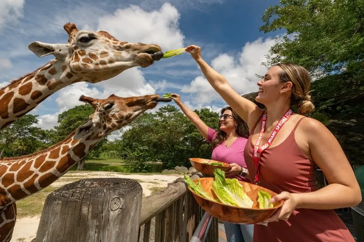 Zoo Miami Ticket with Optional Upgrade