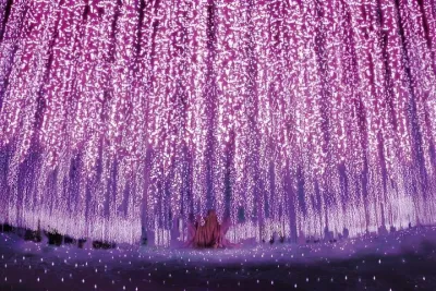 Ashikaga Flower Park Illumination & Strawberry Picking