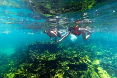 Snorkel Experience! Speedboat, Puerto Morelos or Catamaran Sail