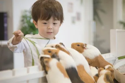 Personalized Tokyo Kid-Friendly Tour: Animals, Arcade & More