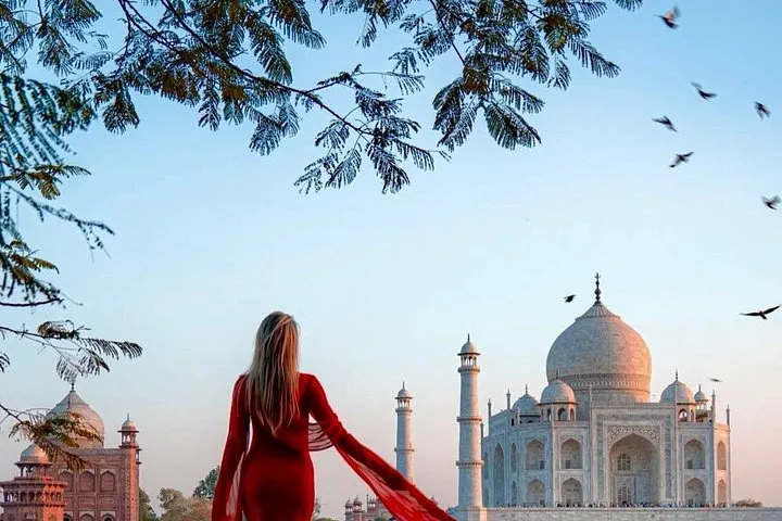 Taj Mahal Sunrise Photography Tour From Delhi All Inclusive