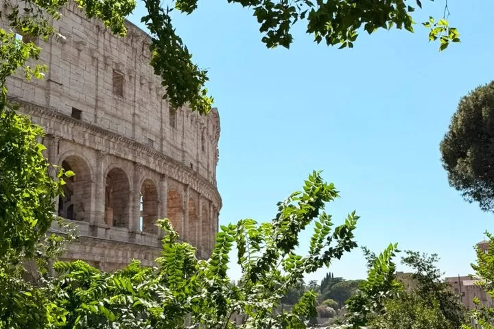 Ancient Rome Group Tour, Colosseum, Roman Forum & Palatine Hill