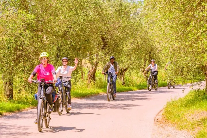 Chianti Hills E-Bike Tour with Tuscan Lunch & Two Wine Tastings