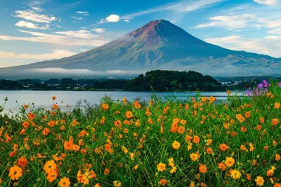 Mt Fuji Fujisan 5th Station Views Ice Cave Fruit Picking Tokyo