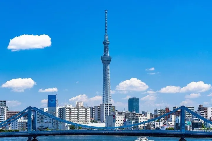 4 Hour Tokyo Fully Custom Private Van Tour with English Guide
