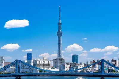 4 Hour Tokyo Fully Custom Private Van Tour with English Guide