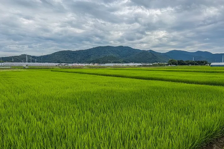 Discover Hidden Rural Japan An Exclusive Journey to Toyohashi