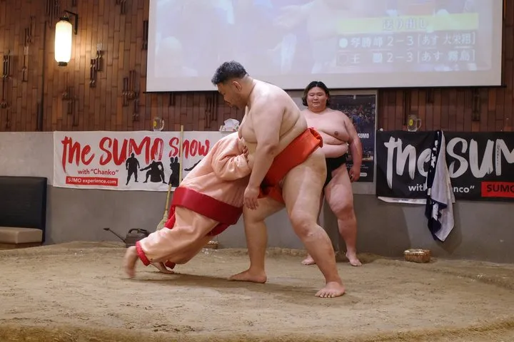 the SUMO show