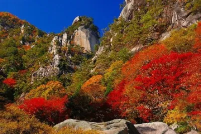 Autumn Scenery at Shosenkyo Gorge with Buffet Lunch