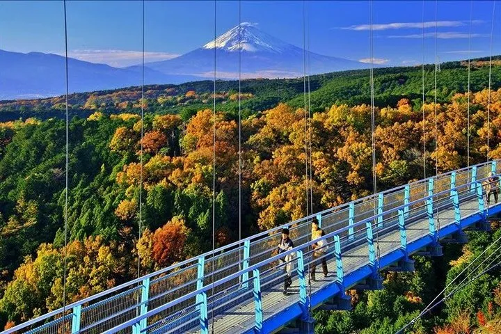 Tokyo to Mishima Skywalk Guided Tour