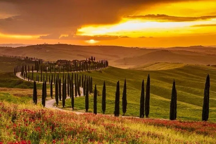 Summer Chianti Sunset Tour Wine Tasting and Dinner in Tuscany