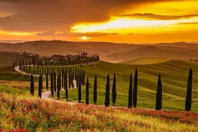 Summer Chianti Sunset Tour Wine Tasting and Dinner in Tuscany