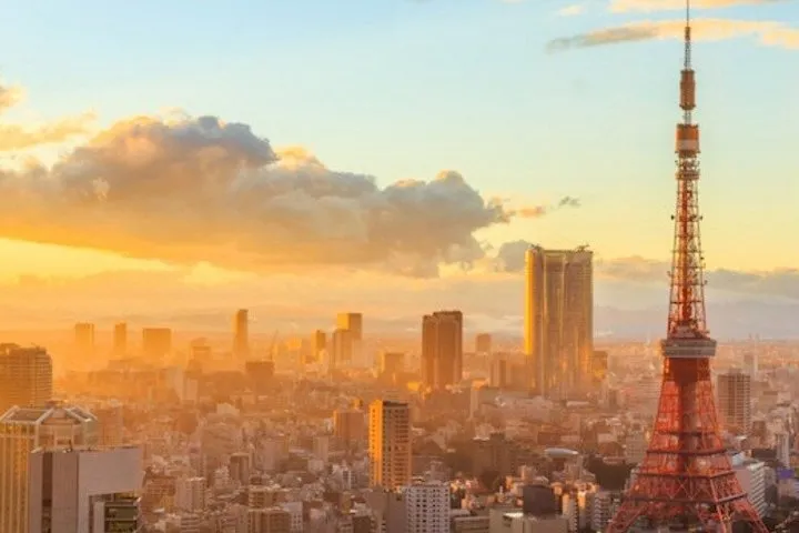 Private Transfer Between Tokyo Cruise Terminal and Haneda Airport