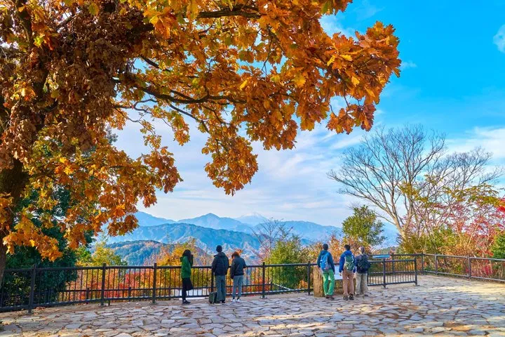 Mt Takao and Showa Kinen Park Autumn Foliage Day Tour from Tokyo