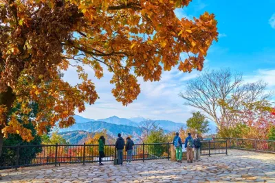 Mt Takao and Showa Kinen Park Autumn Foliage Day Tour from Tokyo