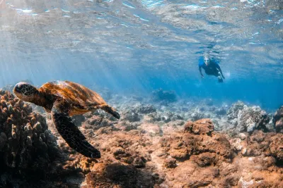 Snorkeling for Non-Swimmers with Photos Guided Tour Wailea Beach
