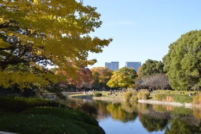Tokyo Imperial Park Autumn Leaves Stroll