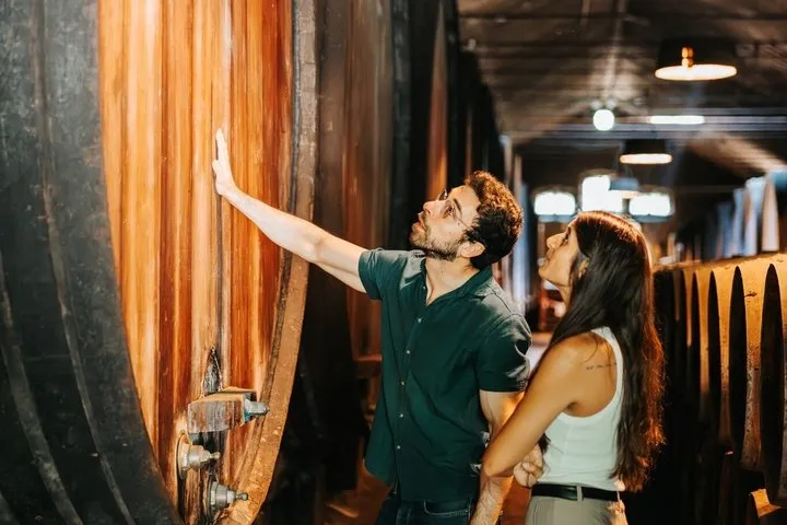 Setúbal Private Wine Experience Two Wineries and Tastings