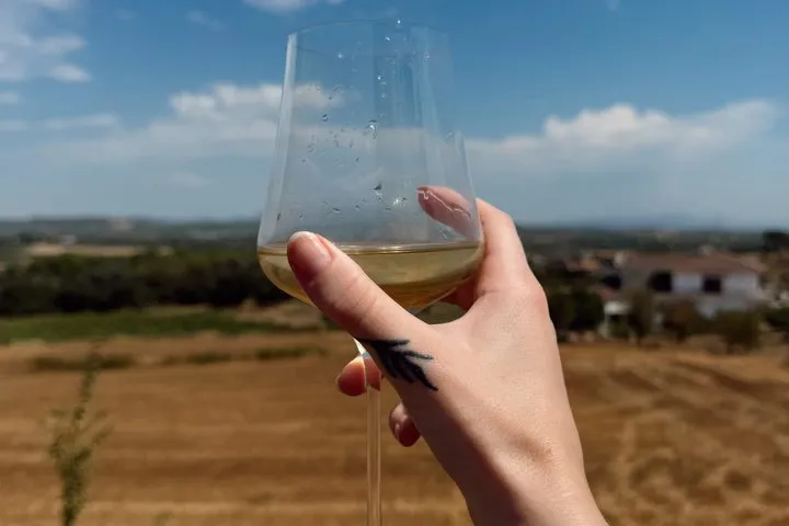 Penedès Wine Corpinnat and Cava Tour Exclusive Wine Experience