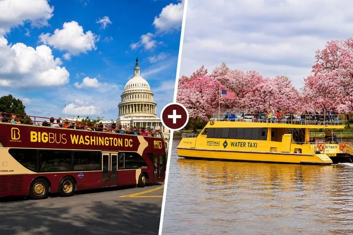 DC: Water Taxi Unlimited Pass & Hop-on Hop-off Sightseeing Tour