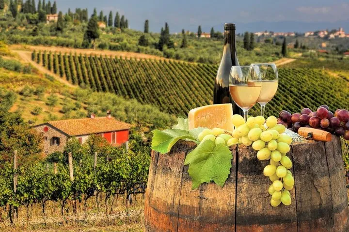 Discovery Tuscany in One Day and Wine Tasting experience