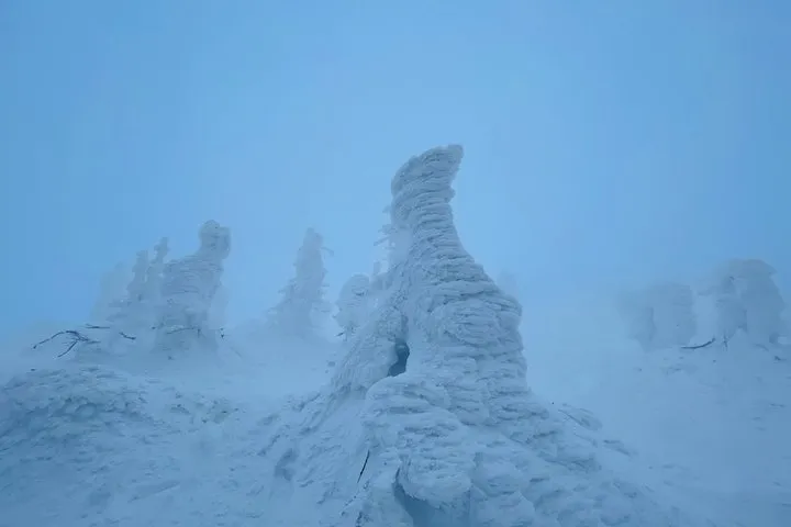 Zao Ropeway and Snow Monsters Day Trip by Train from Tokyo
