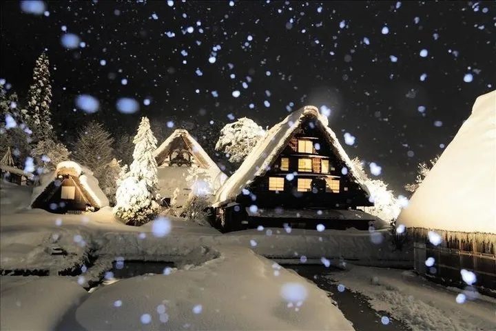 Shirakawa go Light Up 2 Day Tour from Tokyo
