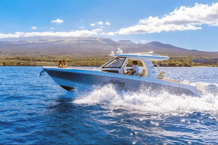 Maalaea Harbor Private Jet Experience