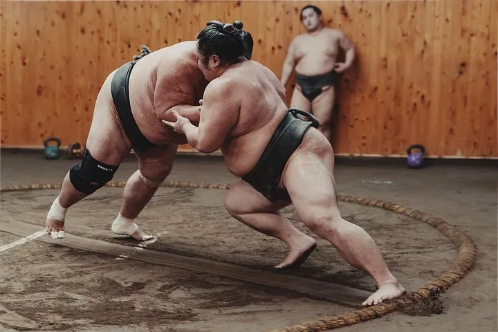 Tokyo Sumo Morning Training — Starting Right From Your Hotel.