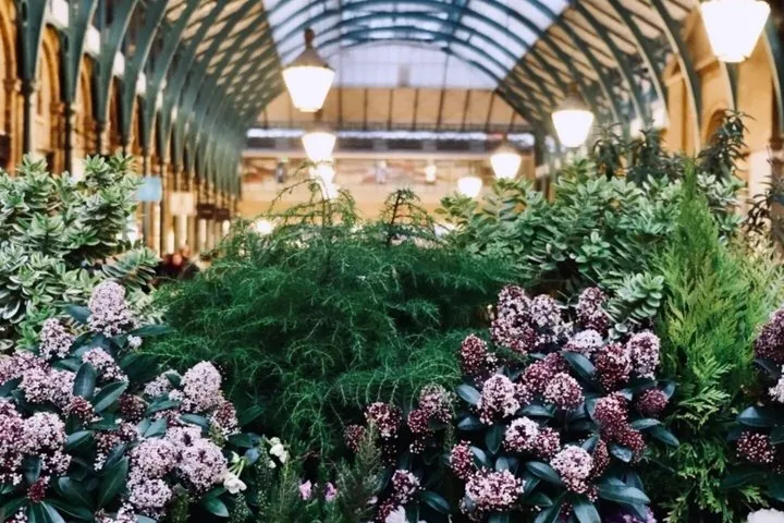 Sex in the City - A Scandalous History of Covent Garden