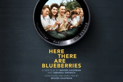 Here There Are Blueberries on Broadway Ticket