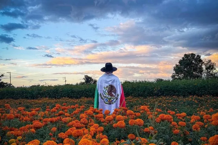 Day of the Dead Night in Xochimilco Doll Island